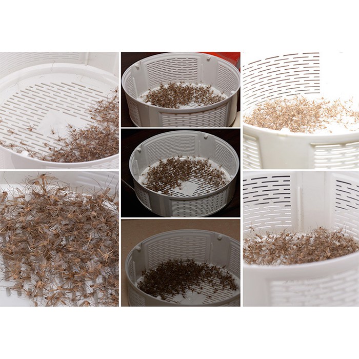 Máy bắt muỗi Máy diệt côn trùng