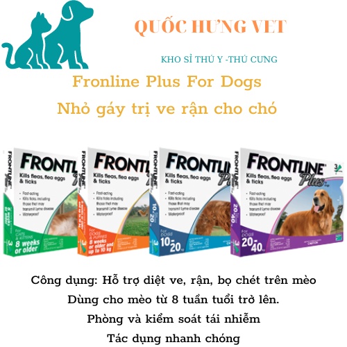 1 Tuyp Frontline Plus ve chó, chấy rận Frontline Plus, thuốc nhỏ gáy frontline cho mèo, thuốc nhỏ gáy frontline cho chó