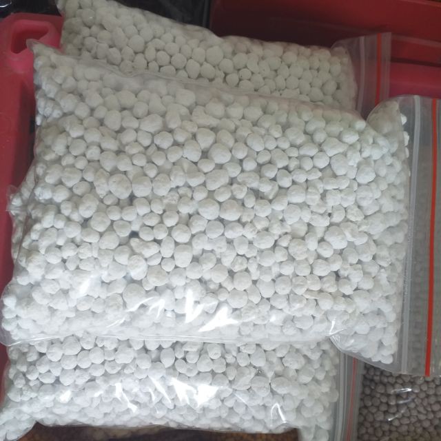 100g Phân tan chậm màu trắng MAGAMP PLUSK Nhật dùng cho hoa lan, cây cảnh, nội thất, phong thủy