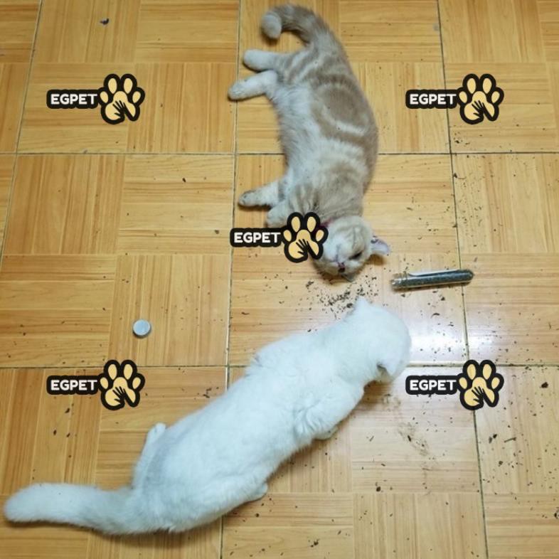 Cỏ mèo, cỏ bạc hà khô, CATNIP thư giãn cho mèo