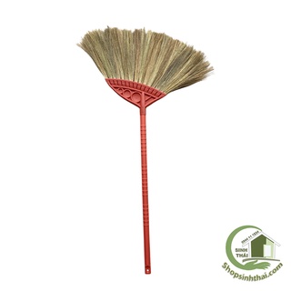 Chổi bông cỏ hộp xuất khẩu cao cấp - Chổi bẹ màu ngẫu nhiên