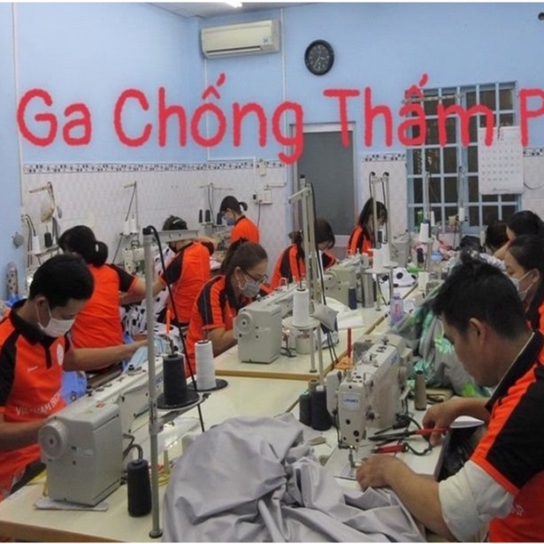 [Có video thật] Ga chống thấm cotton cao cấp, drap chống thấm chính hãng PT mềm mại, bé tè lau là sạch (chọn mẫu)