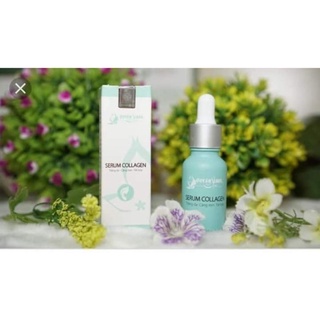 serum colagen