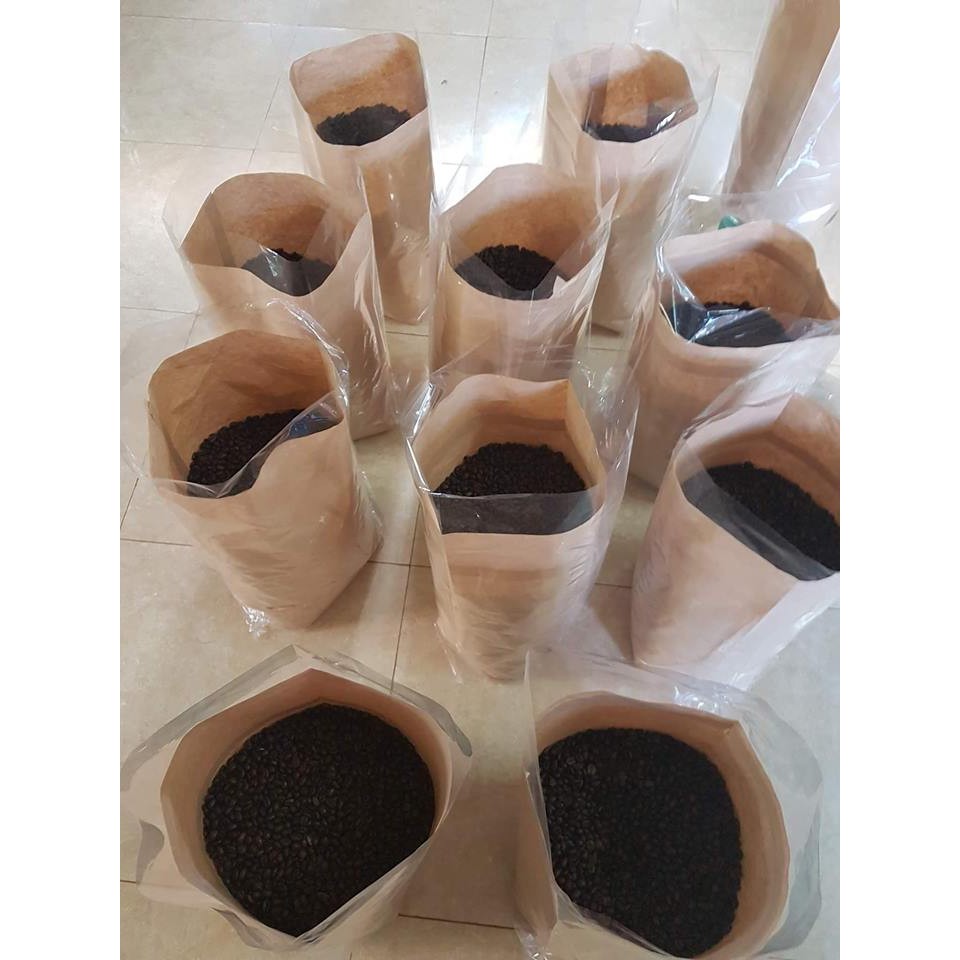 CÀ PHÊ HẠT ARABICA MỘC 100% 1KG | BigBuy360 - bigbuy360.vn