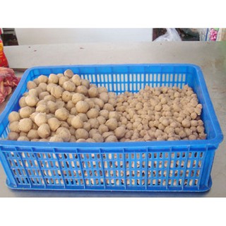 Máy tạo viên SXW 280