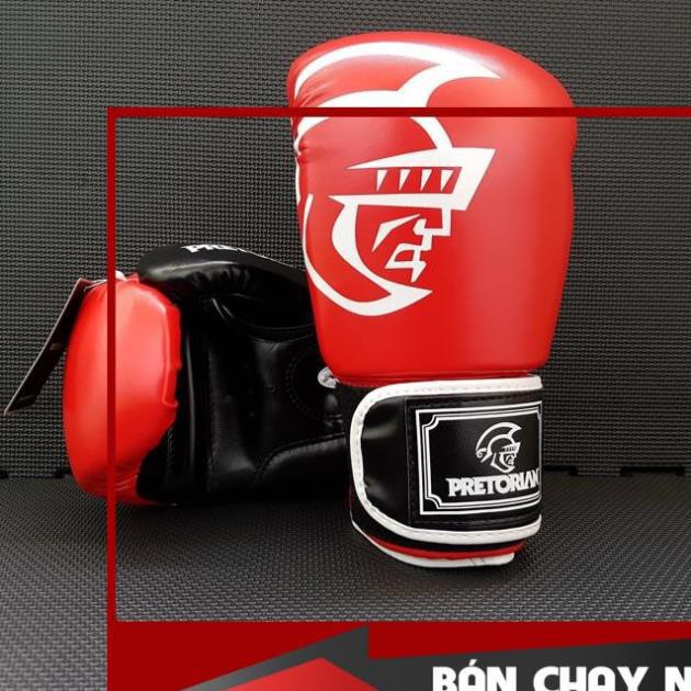 FreeShip  Dụng Cụ Võ Thuật Chính Hãng Găng Boxing nhập khẩu PRETORIAN Khuyến Mãi