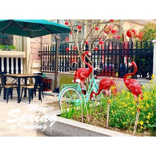 Bộ Decor Hồng Hạc Trang Trí