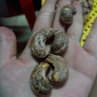 HẠT ĐIỀU RANG MUỐI BÌNH PHƯỚC