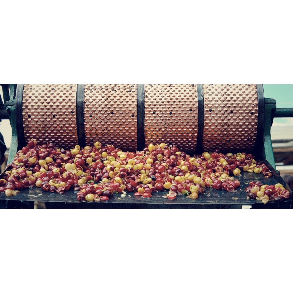 500gr Cafe sạch rang mộc xay sẵn.