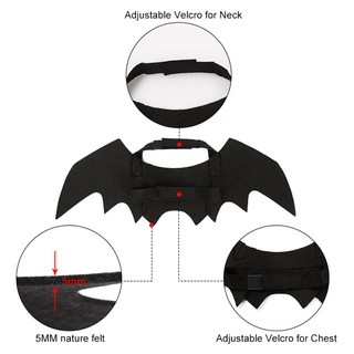 Đồ Hóa Trang Halloween Cho Thú Cưng