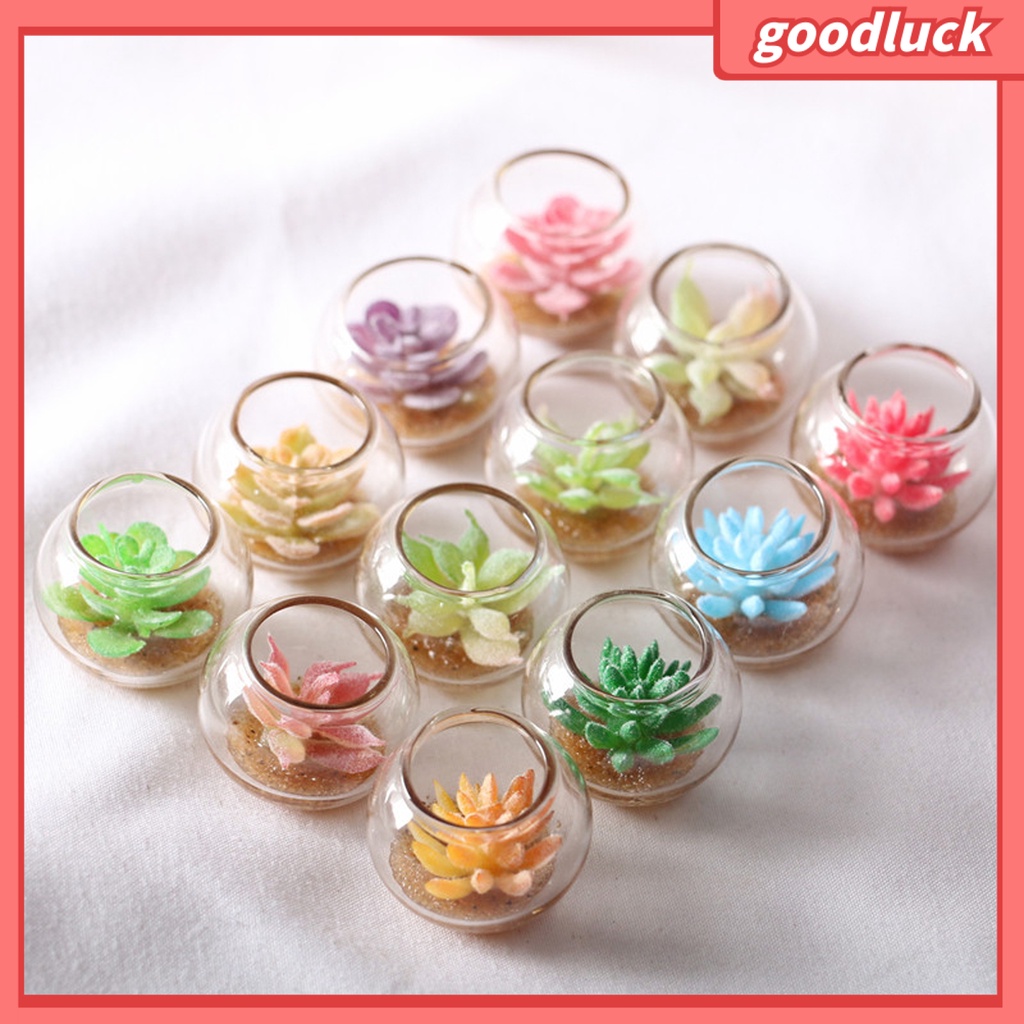 Đồ trang trí chậu cây mini màu sắc ngẫu nhiên trang trí bể cá