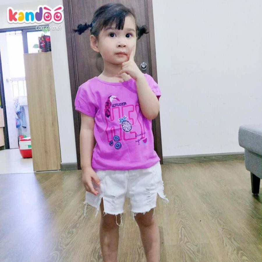 Áo tshirt bé gái DGTS1735 cotton, kandoo