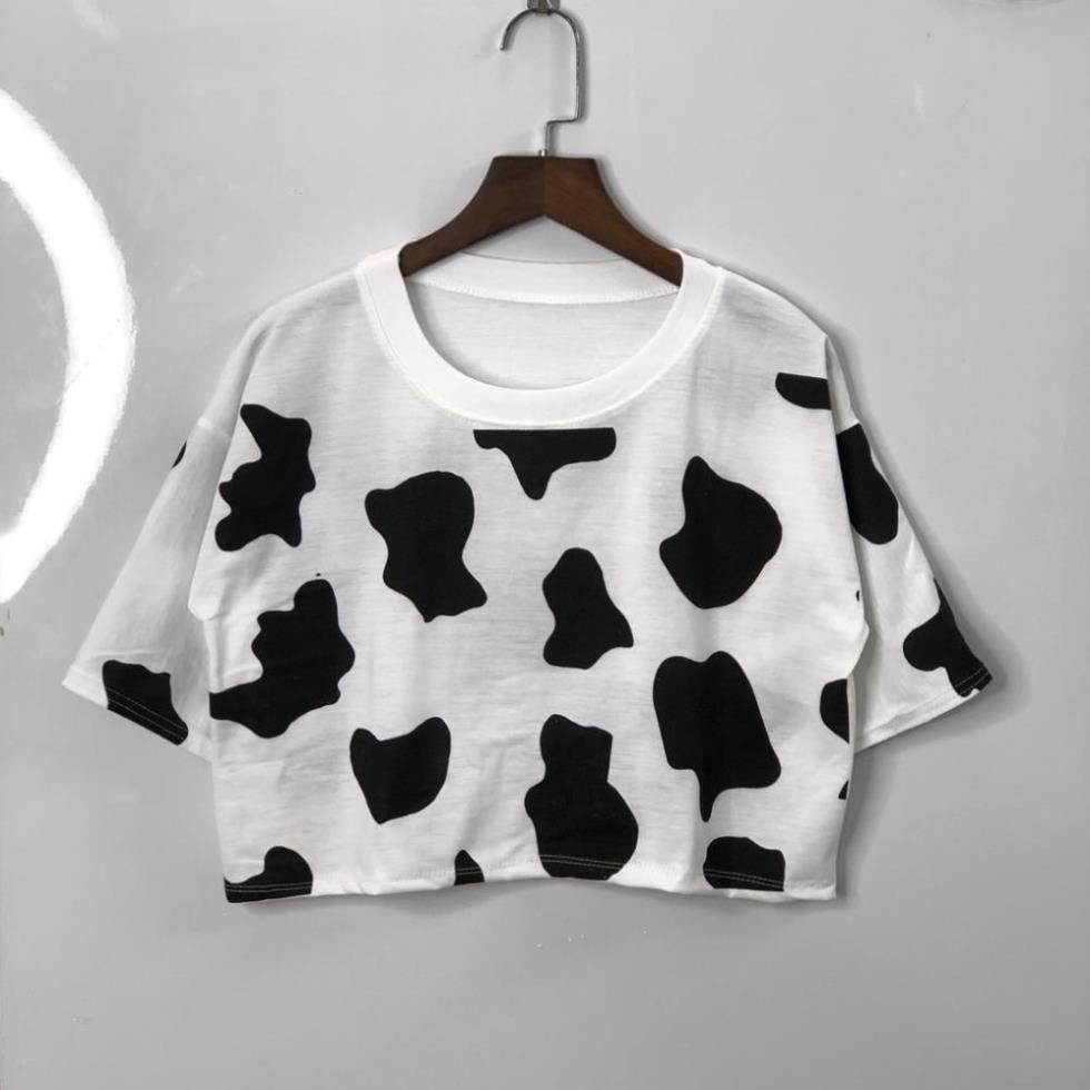 Áo croptop dưới 55kg cocastore - Bò sữa hot trend
