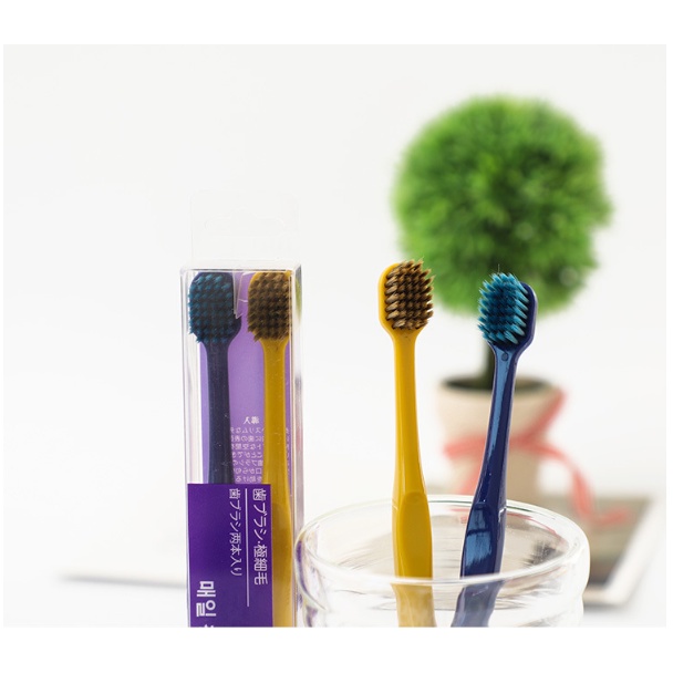 Bộ 2 Bàn Chải Đánh Răng Sợi Than Tre Mềm Mại Màu Macaron Kiểu Nhật Bản Cho Cặp Đôi