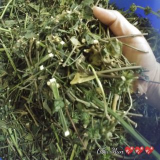 (LỢI SỮA) Chè vằng sẻ kết hợp hoa ích mẫu theo tỉ lệ - túi 1kg