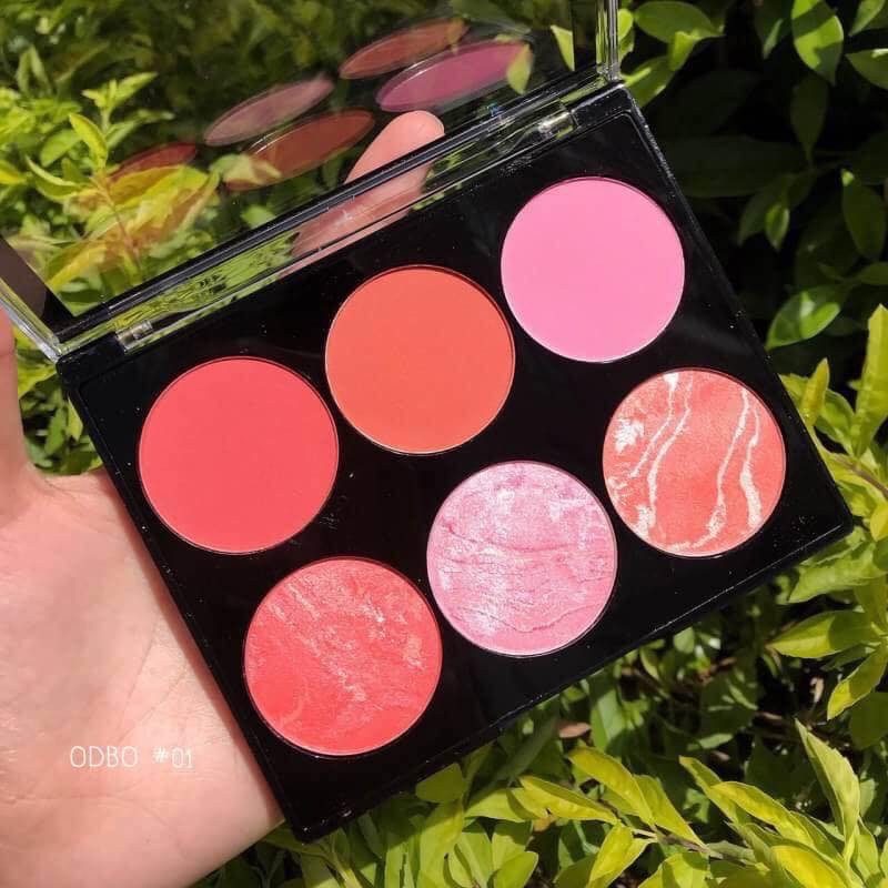 Phấn má 6 ô odbo color harmony blusher