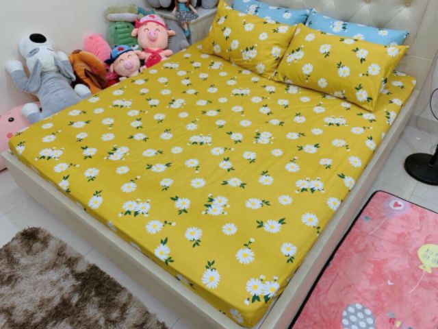 Ga Trải Giường Bọc Đệm Cotton Poly M2 M5 M6 Đồng Gía