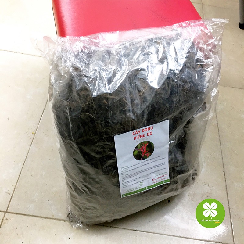 Cây dong riềng đỏ (Gói 1kg khô) - TD162