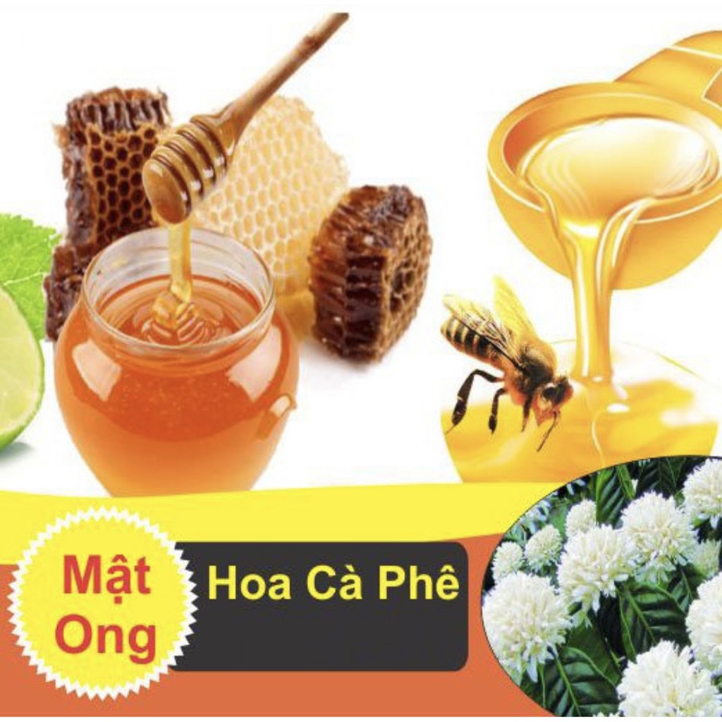 Mật ong nguyên chất rừng Tây Nguyên - 2 lít