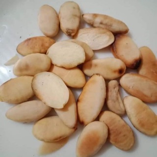 💕🌿 500g HẠT KO-NIA RỪNG 🍀🍁