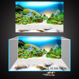 Tranh 3D dán hồ cá, bể thuỷ sinh siêu đẹp và nét, có keo sẵn trên bề mặt, nhận in mọi KT theo yêu cầu