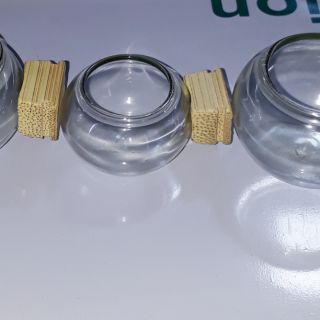 Cóng thủy tinh cho lồng mào