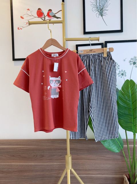 Bộ ao phông quần kẻ