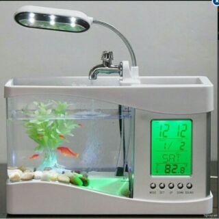 Bể cá mini kiêm đồng hồ để bàn