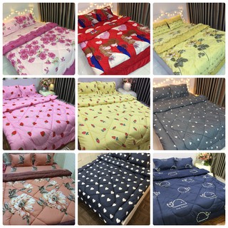 Set 5 chăn phao siêu ấm siêu nhẹ cho mùa đông lạnh giá