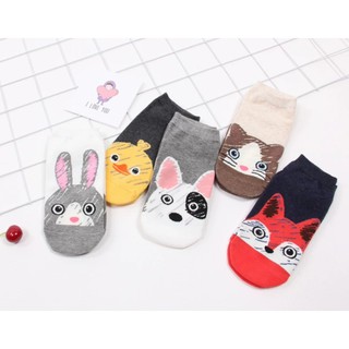 Combo 10 đôi tất nữ cổ ngắn hình thú ngộ nghĩnh