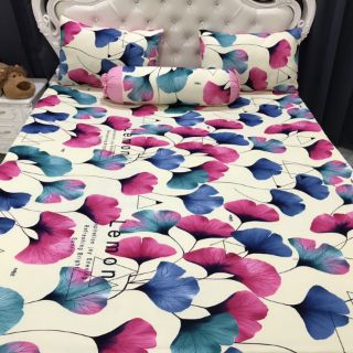 Drap thun hàn quốc