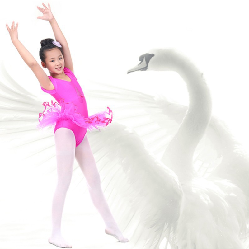babyzoneWinners shop:Girls Baby Short Sleeve Layered Tutu Ballet Dress