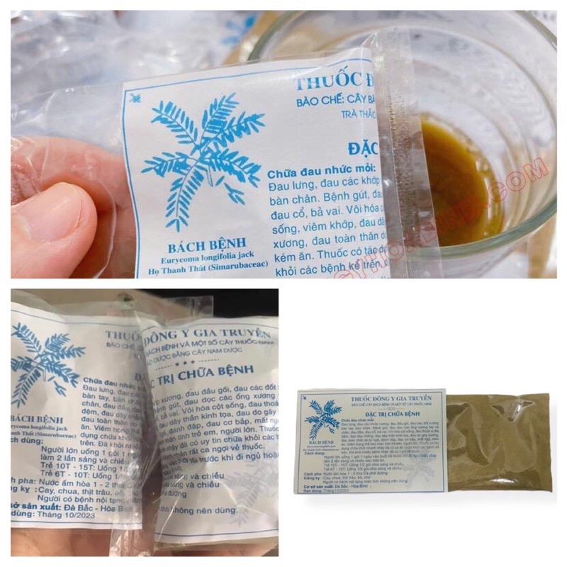 Xương khớp Hòa Bình cây bách bệnh đau xương khớp thoái hóa gút