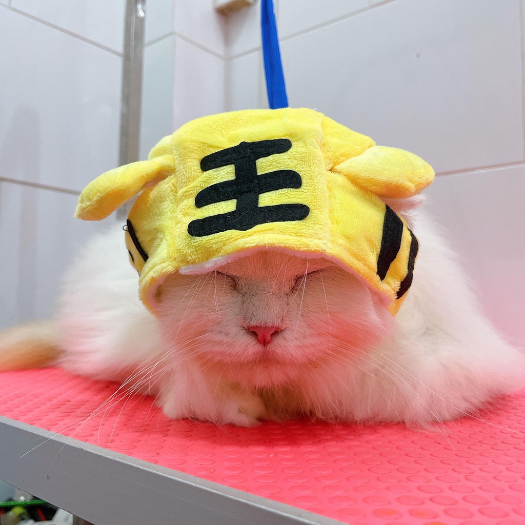 Nón con hổ cosplay nón cho chó mèo