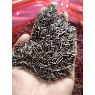 1kg hạt giống hoa sao nhái 300