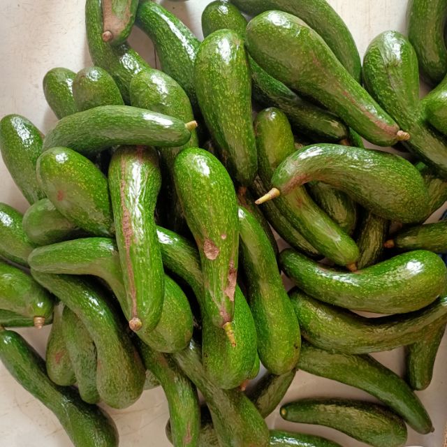 Cách chọn bơ ngon, tươi, không bị đắng 4