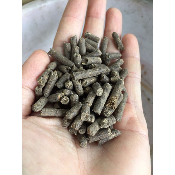 PHÂN NỞ DẠNG VIÊN NÉN ( DÙNG CHO CÂY KIỂNG , RAU VÀ HOA )