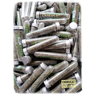 Cỏ Mèo Bạc Hà Catnip Dạng Ống