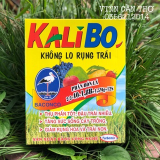 Phân bón lá Kali Bo 2-2-40 tăng tỉ lệ đậu trái và chống rụng trái non