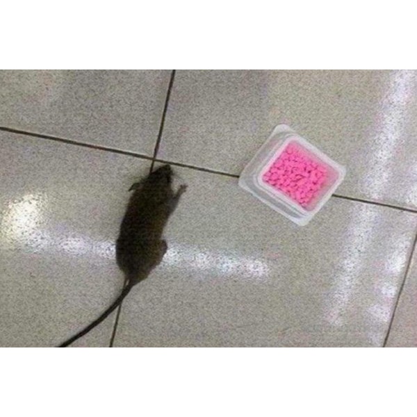 Viên bả chuột ARS RAT KILLER Thái Lan