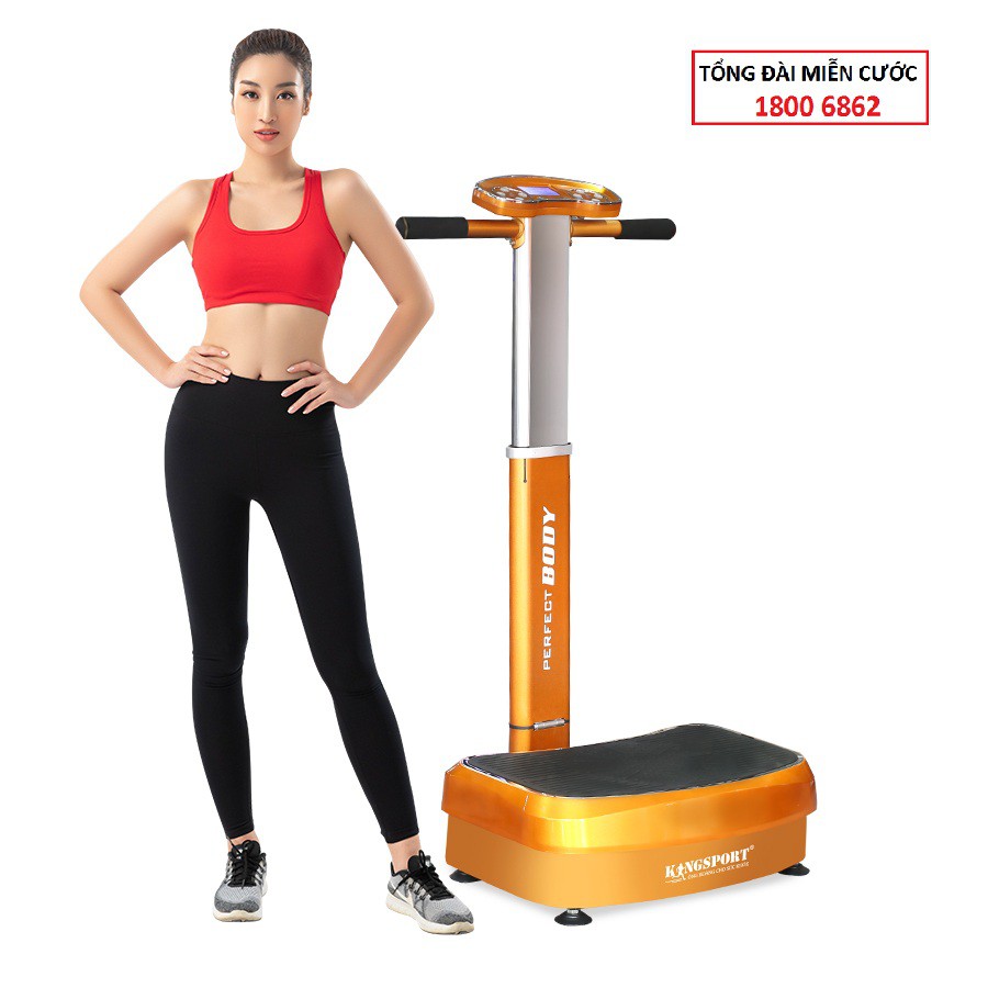 Máy rung KINGSPORT PERFECT BODY - Giảm mỡ toàn thân tại nhà, động cơ khoẻ, tải trọng lớn