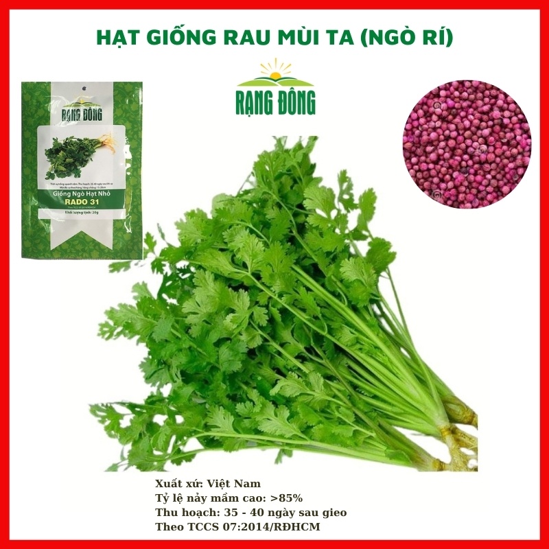 Hạt giống rau củ quả COMBO 9 loại rau chịu nhiệt 4 mùa trồng chậu dễ chăm sóc, tỉ lệ nảy mầm cao RÂDO