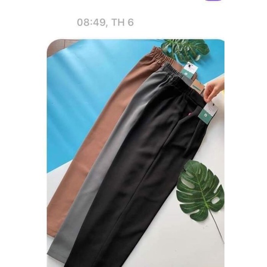 Quần vải bagy lưng chun cho nữ