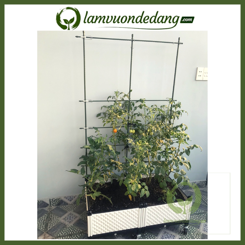 GIÀN LEO áp tường cao 1.5m - KHUNG TRỒNG CÂY Dùng làm Khung Đỡ, Giá Đỡ Hoa Hồng Leo, giàn leo bầu bí mướp ~