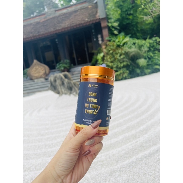 Đông Trùng Hạ Thảo Khô Cao Cấp từ tảo xoắn Spirulina hoopi 10g - Sản phẩm nghiên cứu của Học viện nông nghiệp Việt Nam