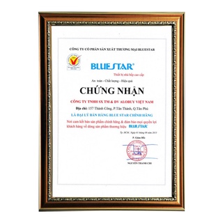 Bếp gas âm BLUESTAR NG-6710