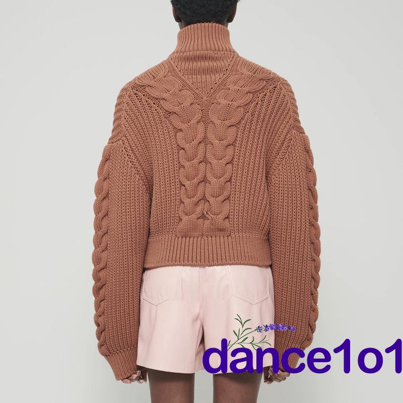 Áo Sweater Cổ Lọ Tay Dài Dáng Rộng Màu Sắc Trơn Thời Trang Cho Nữ