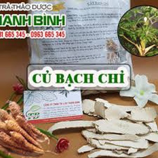 Bạch chỉ 1kg - loại 1 hàng công ty chất lượng