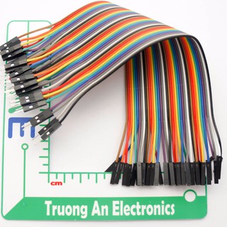 Dây nối 2 đầu 20CM (40 sợi )