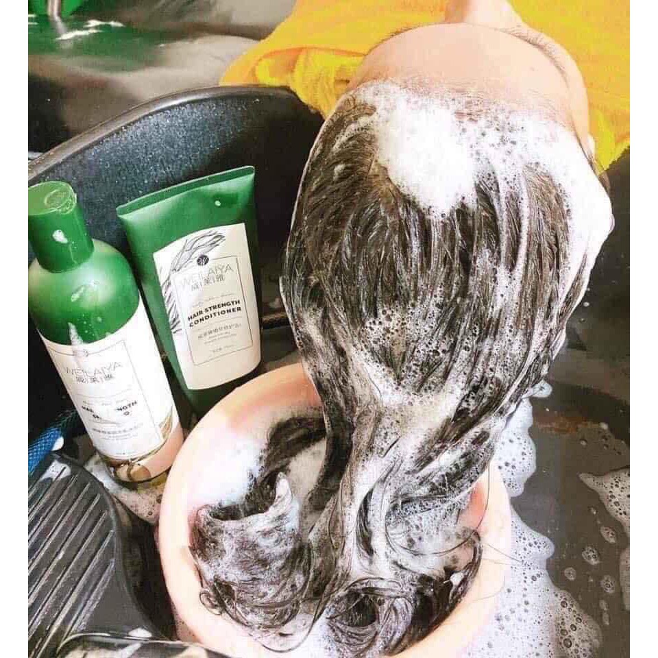Bộ gội xả gừng welaiya ngăn dụng tóc và ngăn gầu
